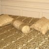 IMG_1625